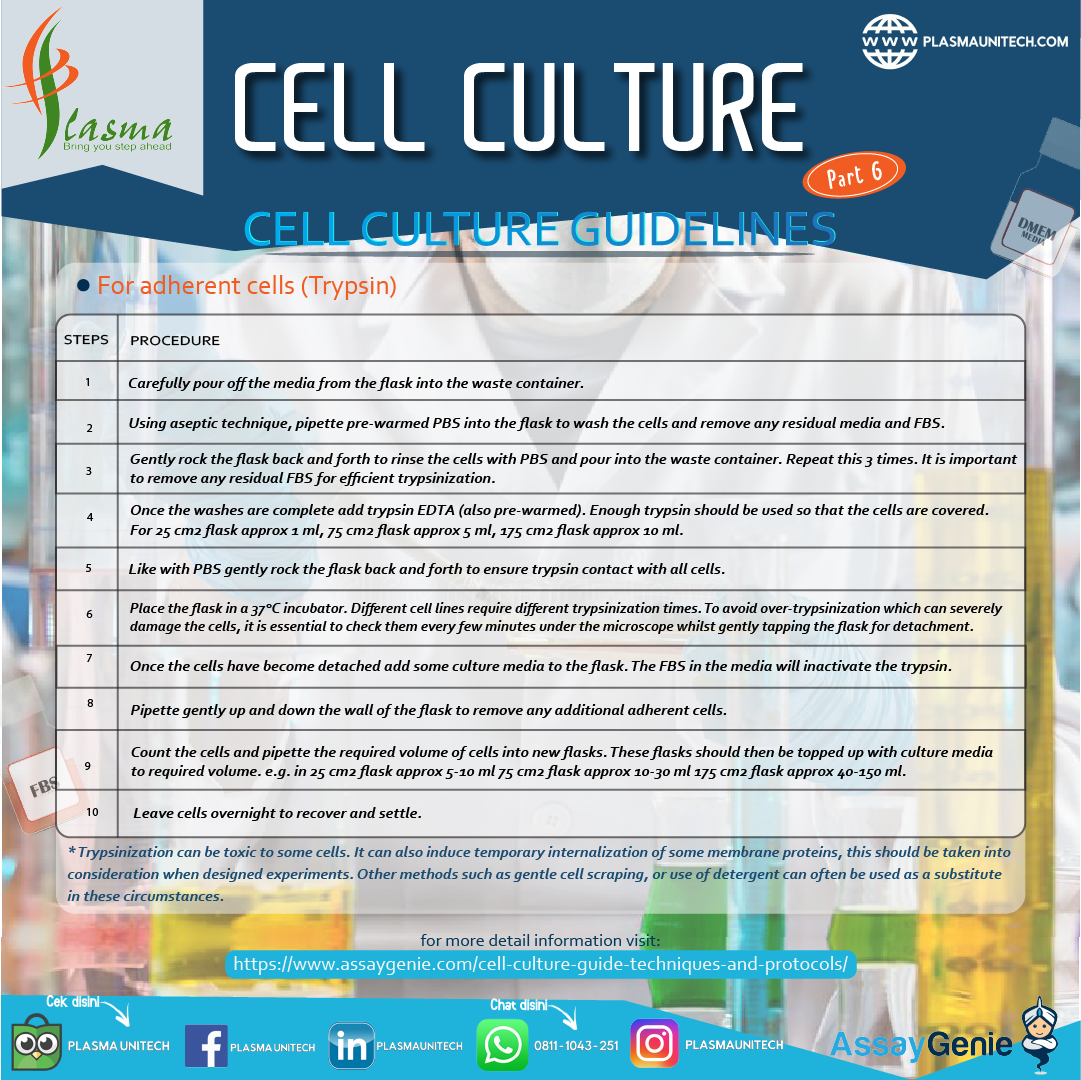CELL CULTURE - WHAT IS CELL CULTURE? PART 6